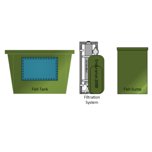 fish tank, filter, and sump for a Recirculating Aquaculture System