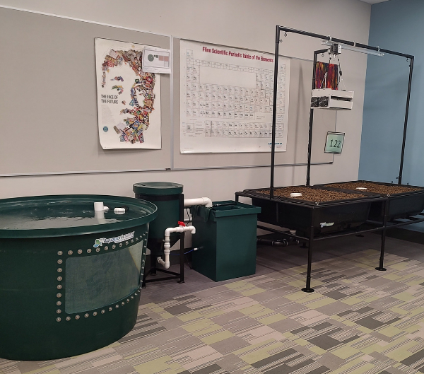 aquaponic system in a classroom